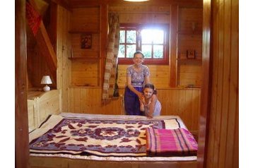 Pension de famille Brebu 6